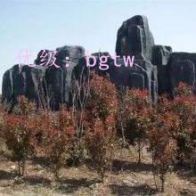 ҵ