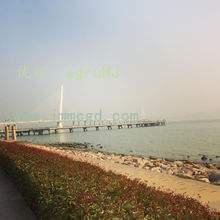 ׶