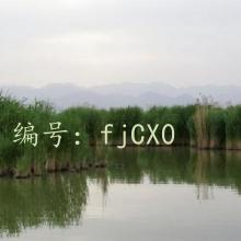 Բ