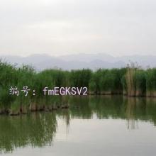 ҵ