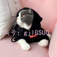˲